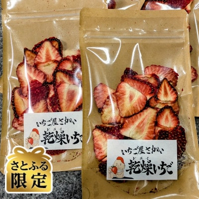 【さとふる限定】いちご屋さかいの凝縮無添加『乾燥いちご』計40g