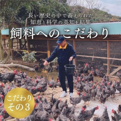 純国産・平飼い・飼料に徹底的にこだわった「紀の夢たまご(岡崎おうはん)」20個セット
