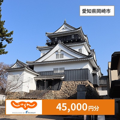 【じゃらんふるさと納税クーポン】 愛知県岡崎市でつかえる45,000円 クーポン