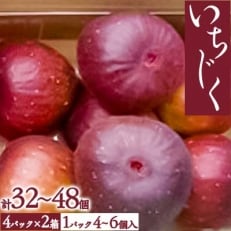 いちじく | ふるさと納税のお礼品