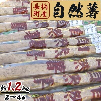 [長柄町産]自然薯　約1.2kg
