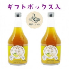 醗酵生姜565ml × 2本(飲料/5倍希釈) 【添加物不使用】