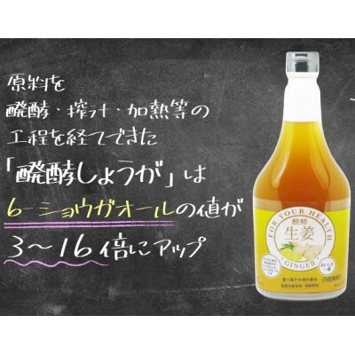 醗酵生姜565ml × 2本(飲料/5倍希釈) 【添加物不使用】