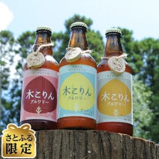 【さとふる限定】ながら木こりんブルワリー　3種6本セット | ふるさと納税のお礼品