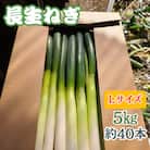 【千葉県長柄町産】『長生ねぎ』Lサイズ　5kg(約40本)