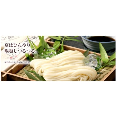 【日本三大うどん】五島手延うどんセット NT-24