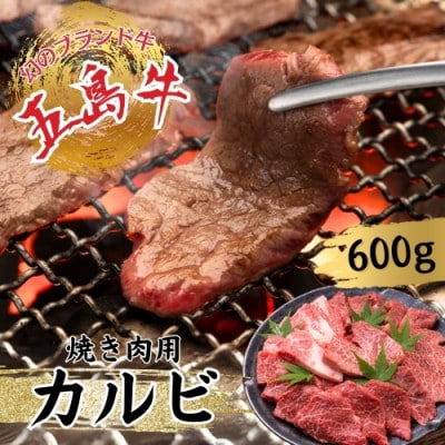 【幻のブランド牛】五島牛カルビ(600g)【冷凍】