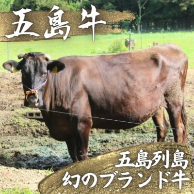 【幻のブランド牛】五島牛カルビ(600g)【冷凍】