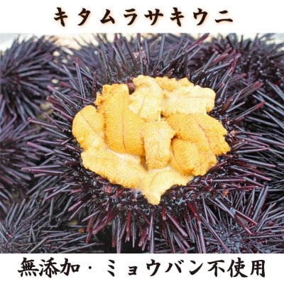 【館山近海産】房総塩ウニ(1瓶60g入)