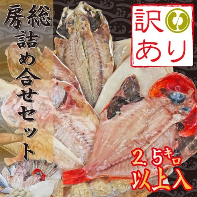 【訳あり】房総規格外詰め合せセット　2.5kg以上(干物・切り身・漬け魚・すり身等)