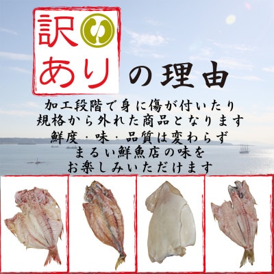 【訳あり】房総規格外詰め合せセット　2.5kg以上(干物・切り身・漬け魚・すり身等)