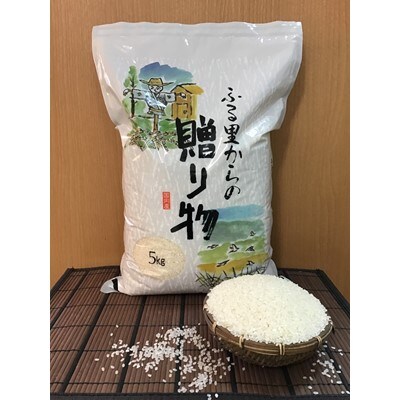 館山産コシヒカリ　5kg