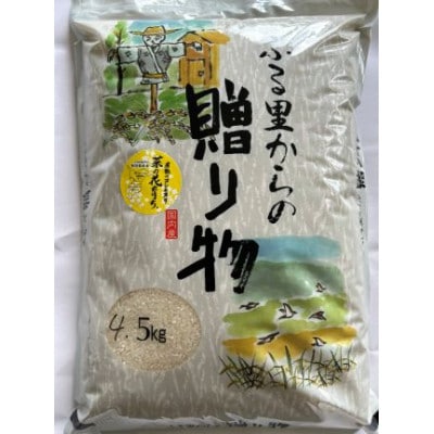 菜の花育ち(館山産コシヒカリ)白米　4.5kg