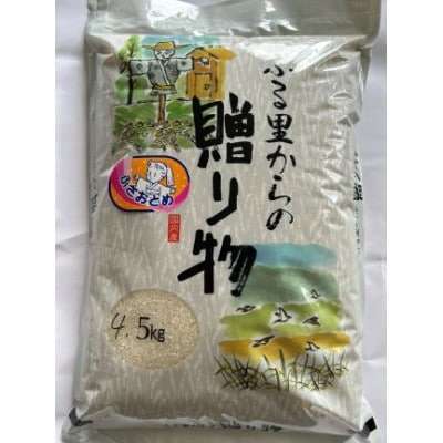 千葉県館山産ふさおとめ　精米　4.5kg