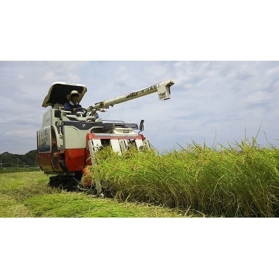 千葉県館山産ふさおとめ　精米　4.5kg