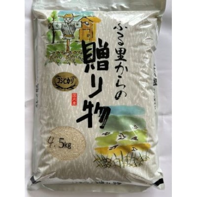 千葉県館山産コシヒカリ　精米　4.5kg