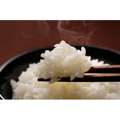【毎月定期便】自然のまんま(館山産コシヒカリ) 5kg 全4回
