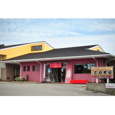 吉田米屋イチオシ!白米8kg つやつや館山産コシヒカリ1等米