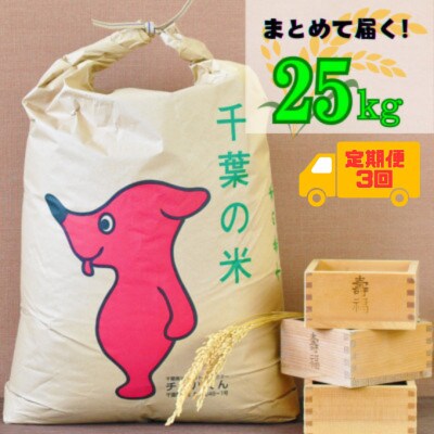 【毎月定期便】吉田米屋イチオシ!白米25kg つやつや館山産コシヒカリ1等米全3回