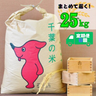 【毎月定期便】吉田米屋イチオシ!白米25kg つやつや館山産コシヒカリ1等米全6回