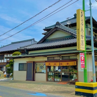 ひふみ養蜂園 はちみつ詰替えセット 計600g(300g×2)