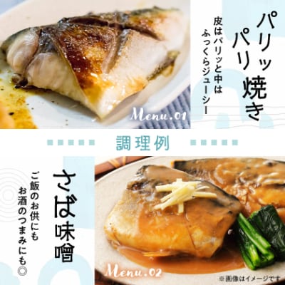 【訳あり】塩さば 20切れ 約2.2kg(個包装)
