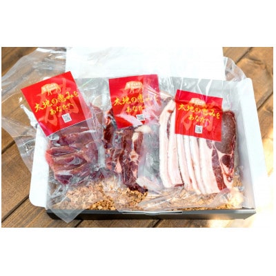 ジビエ猪肉部位3種セット