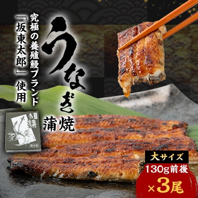 天然 に近づけた究極の養殖 鰻「坂東太郎 使用」 うなぎ 蒲焼 大サイズ 130g前後×3尾