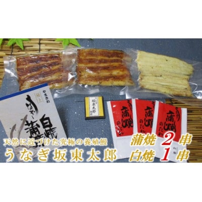 天然 に近づけた究極の養殖 鰻「坂東太郎 使用」うなぎ 蒲焼 2串 ・ 白焼1串 大サイズ