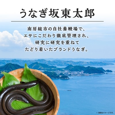 天然 に近づけた究極の養殖 鰻「坂東太郎 使用」 うなぎ 蒲焼 小サイズ 80g前後×5串