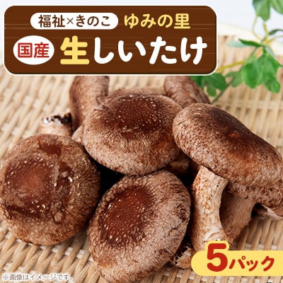 【農福連携】千葉県館山産 生しいたけ110g×5パック 就労継続支援A/B型併用事業所「ゆみの里」