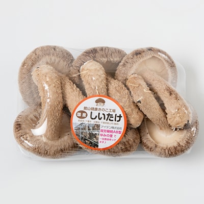 【農福連携】千葉県館山産 生しいたけ110g×5パック 就労継続支援A/B型併用事業所「ゆみの里」