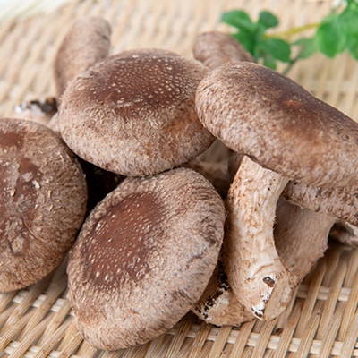 【農福連携】千葉県館山産 生しいたけ110g×5パック 就労継続支援A/B型併用事業所「ゆみの里」