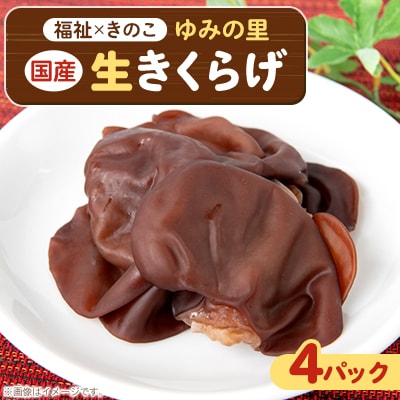 【農福連携】千葉県館山産 生きくらげ100g×4パック 就労継続支援A/B型併用事業所「ゆみの里」