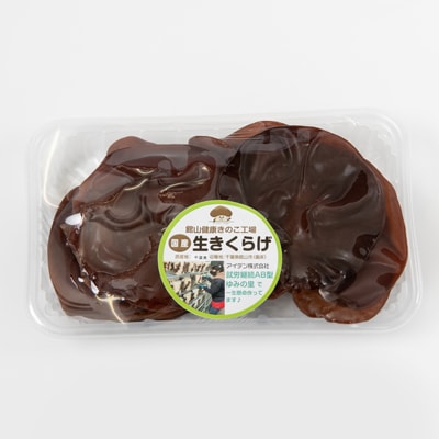 【農福連携】千葉県館山産 生きくらげ100g×4パック 就労継続支援A/B型併用事業所「ゆみの里」