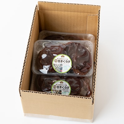 【農福連携】千葉県館山産 生きくらげ100g×4パック 就労継続支援A/B型併用事業所「ゆみの里」