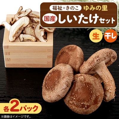 【農福連携】千葉県館山産しいたけセット(生しいたけ110g×2パック・乾燥しいたけ30g×2パック)