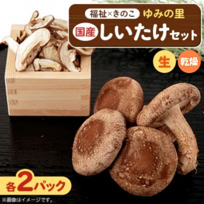 【農福連携】千葉県館山産しいたけセット(生しいたけ110g×2パック・乾燥しいたけ30g×2パック)