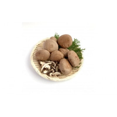 【農福連携】千葉県館山産しいたけセット(生しいたけ110g×2パック・干ししいたけ30g×2パック)