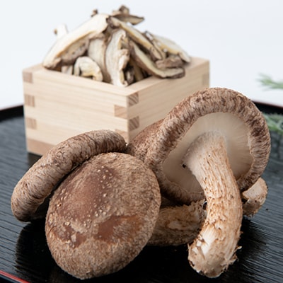 【農福連携】千葉県館山産しいたけセット(生しいたけ110g×2パック・乾燥しいたけ30g×2パック)