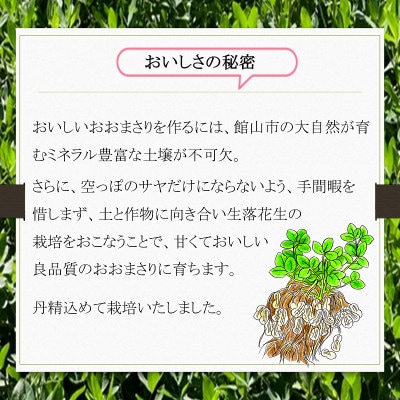 【 数量限定 】【 期間限定 】農家イチオシ!千葉県館山産 生落花生おおまさり 2kg