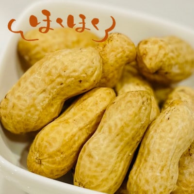 【数量限定】館山産生落花生　おおまさり・こまさり(規格外)・しいな(規格外)各1kg　食べ比べセット