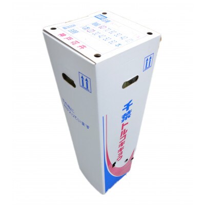 トルコギキョウ　30本