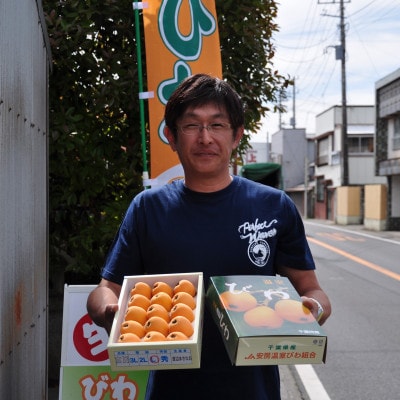 【先行受付】5月下旬より順次発送　露地栽培「房州びわ」 2L・3Lサイズ合計12粒　化粧箱入り