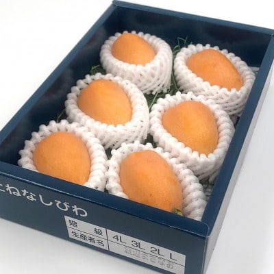 【先行予約】4月下旬頃より順次発送　種無し房州びわ「希房」 2Lサイズ6粒　化粧箱入り