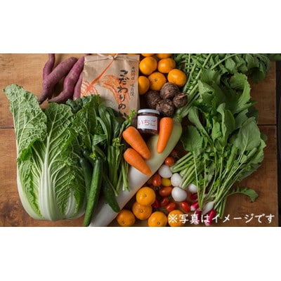 館山産コシヒカリ2kg & 旬の味覚詰め合わせ