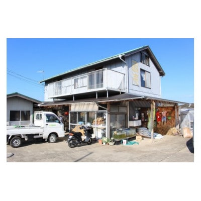 館山産コシヒカリ2kg & 旬の味覚詰め合わせ