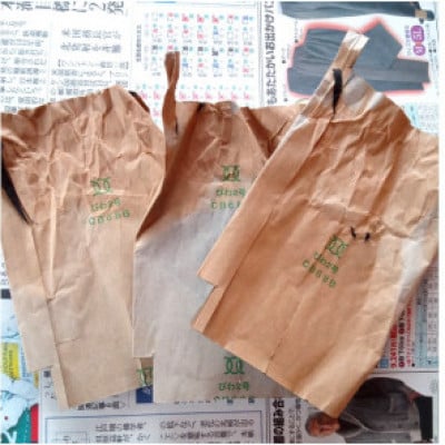 【訳あり】館山の温暖な気候育ち 房州びわ 700g以上