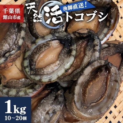 【先行予約】【金曜日発送】漁師直送!天然活トコブシ1kg(10～20個)