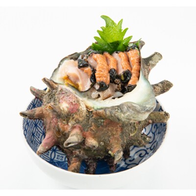 【先行予約】【金曜日発送】漁師直送!天然大ぶり活サザエ　2kg(4～6個)